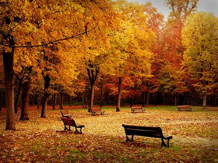 gold-fall